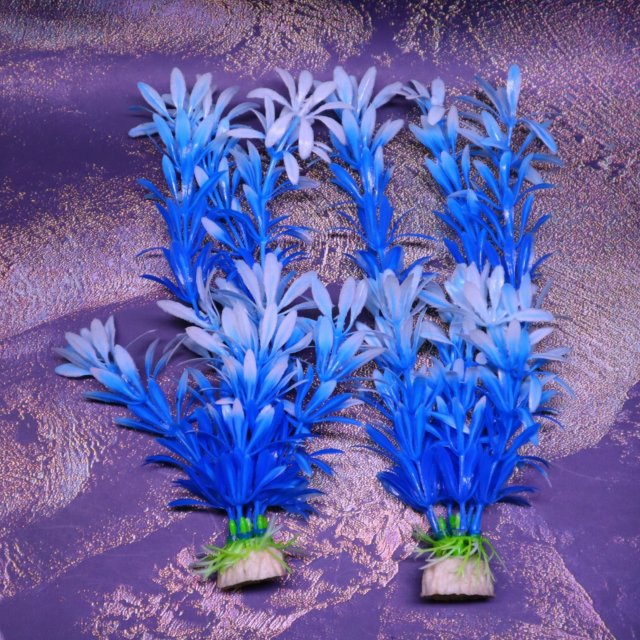 PLANTA BLUE - WHITE 18 CM